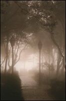 Fine art photographs by Armond Scavo