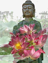 Fine art photography by Nancy Ridenour