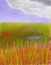 Painting by TD Wilson